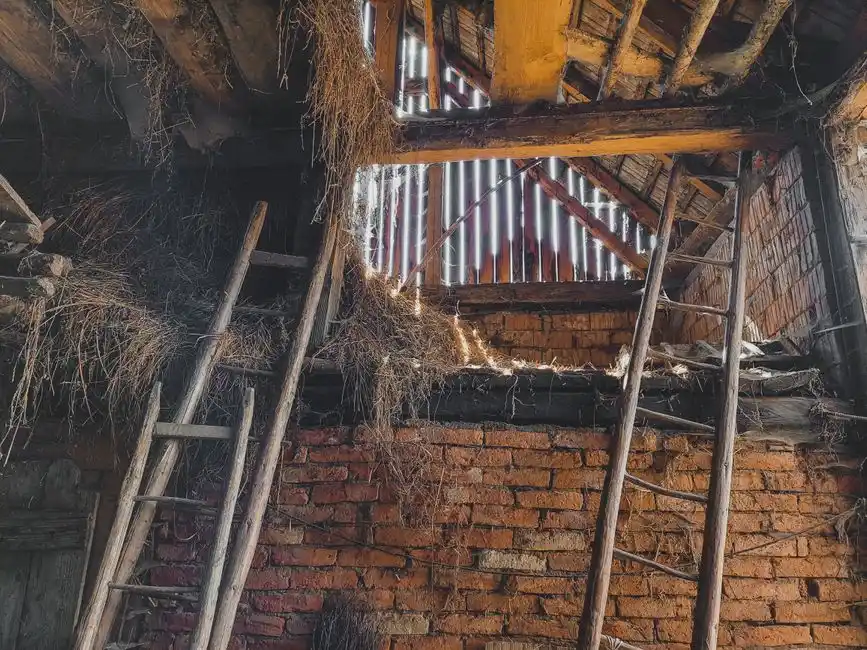 How to choose an insulation removal service in Grimsby